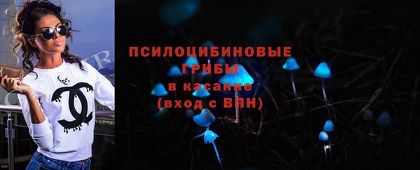 спайс Ладушкин