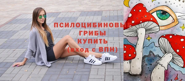 не бодяженный Лабытнанги