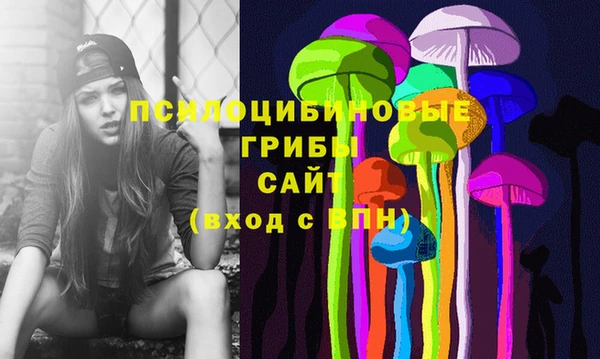 не бодяженный Лабытнанги