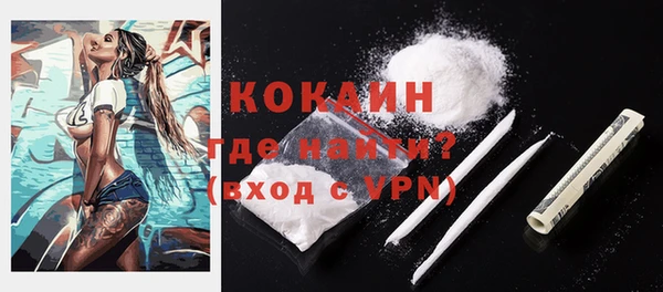 спайс Ладушкин