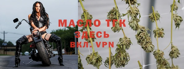 спайс Ладушкин