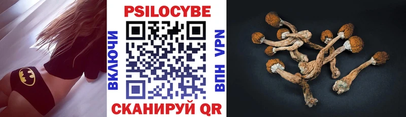 Купить  Иннополис  Псилоцибиновые грибы GOLDEN TEACHER 